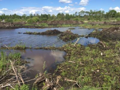 Купить торф Лобня